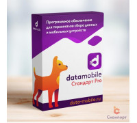 Подписка на обновления DataMobile для версий LifeTime (Стандарт Pro, на 12 месяцев, арт. DMProUpd)