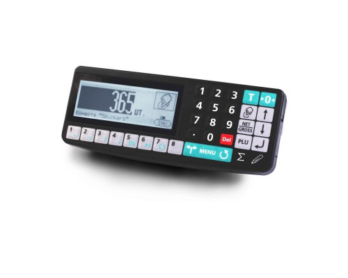 Весы платформенные с пандусом Масса-К 4D-LA-15/12-1000-RA