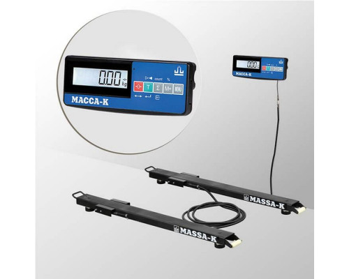 Весы стержневые Масса-К 4D-B-12/1-1000-A(RUEW)